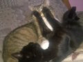WP_20160117_001.jpg